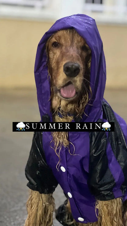 Purple Black Raincoat