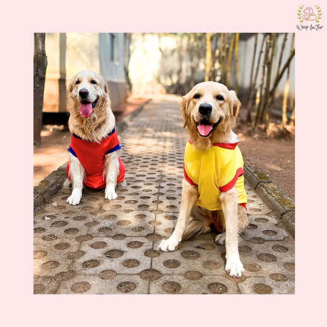 printed dog t shirt for dogs