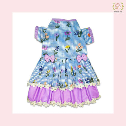 birthday butterfly dog frock