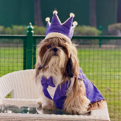 Purple Shimmer Dog Tuxedo