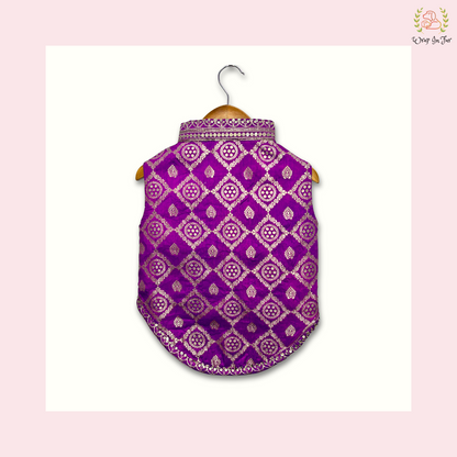 Purple Embroidered Dog Sherwani