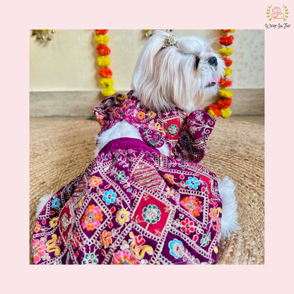 Purple Velvet Dog Lehenga Choli