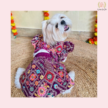 Purple Velvet Dog Lehenga Choli