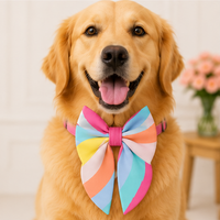 Palm Breeze Dog Bow Collar