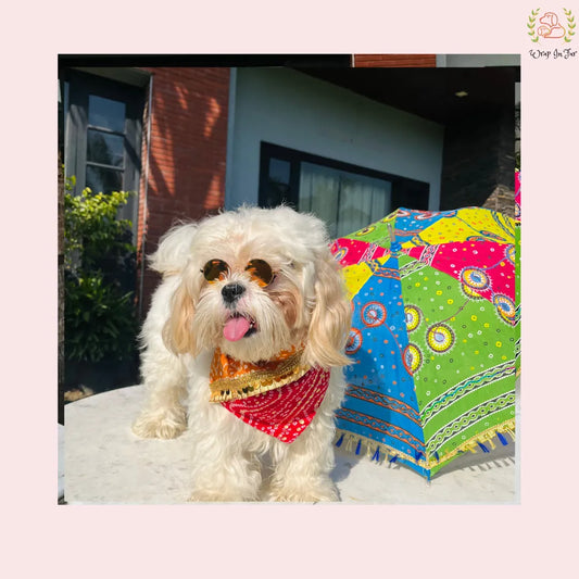 birthday red yellow festive dog bandana for small dog