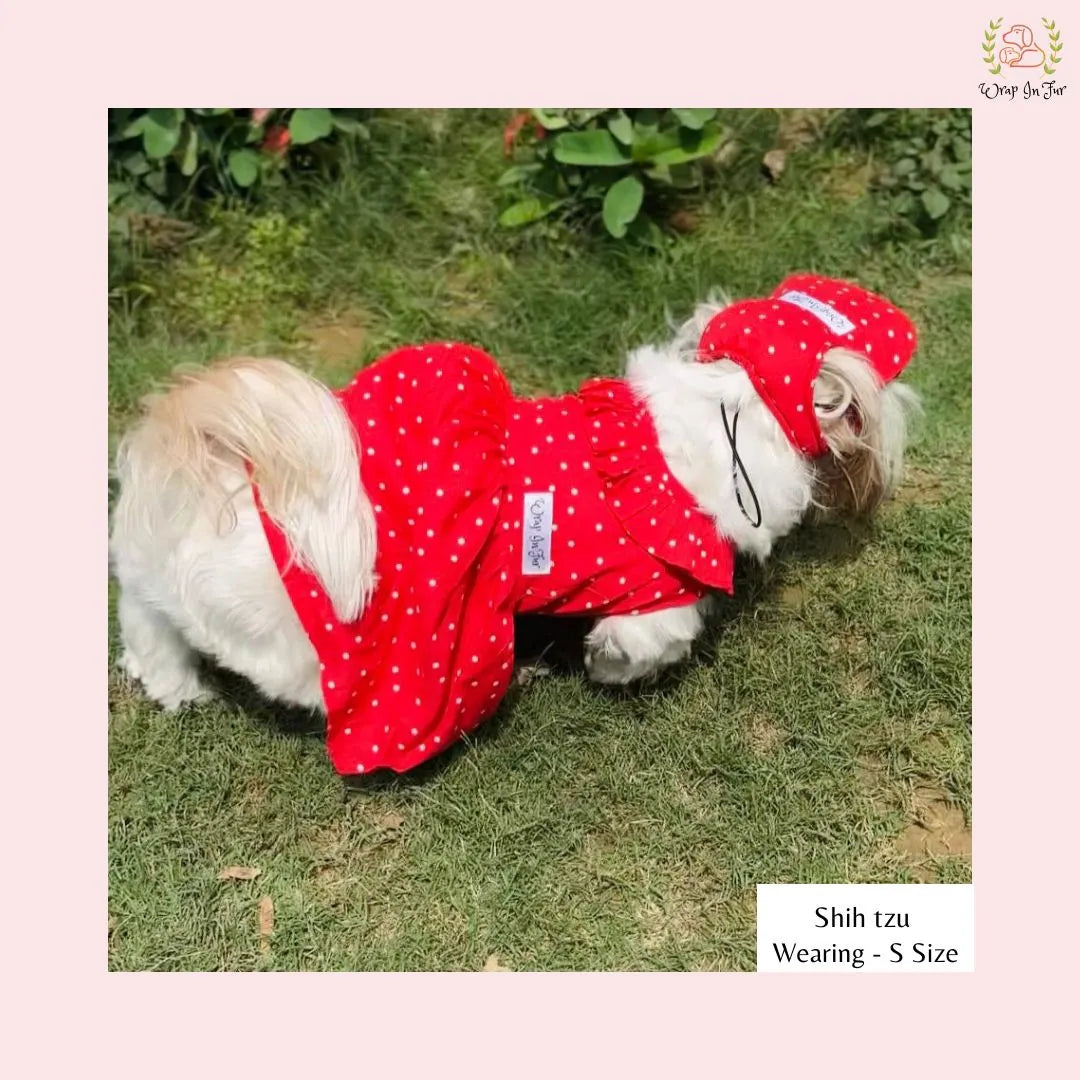 red polka dog cap and frock for dog