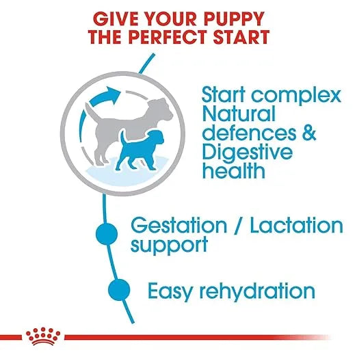 Royal Canin Mini Starter Dog Dry Food for Mother & Puppies