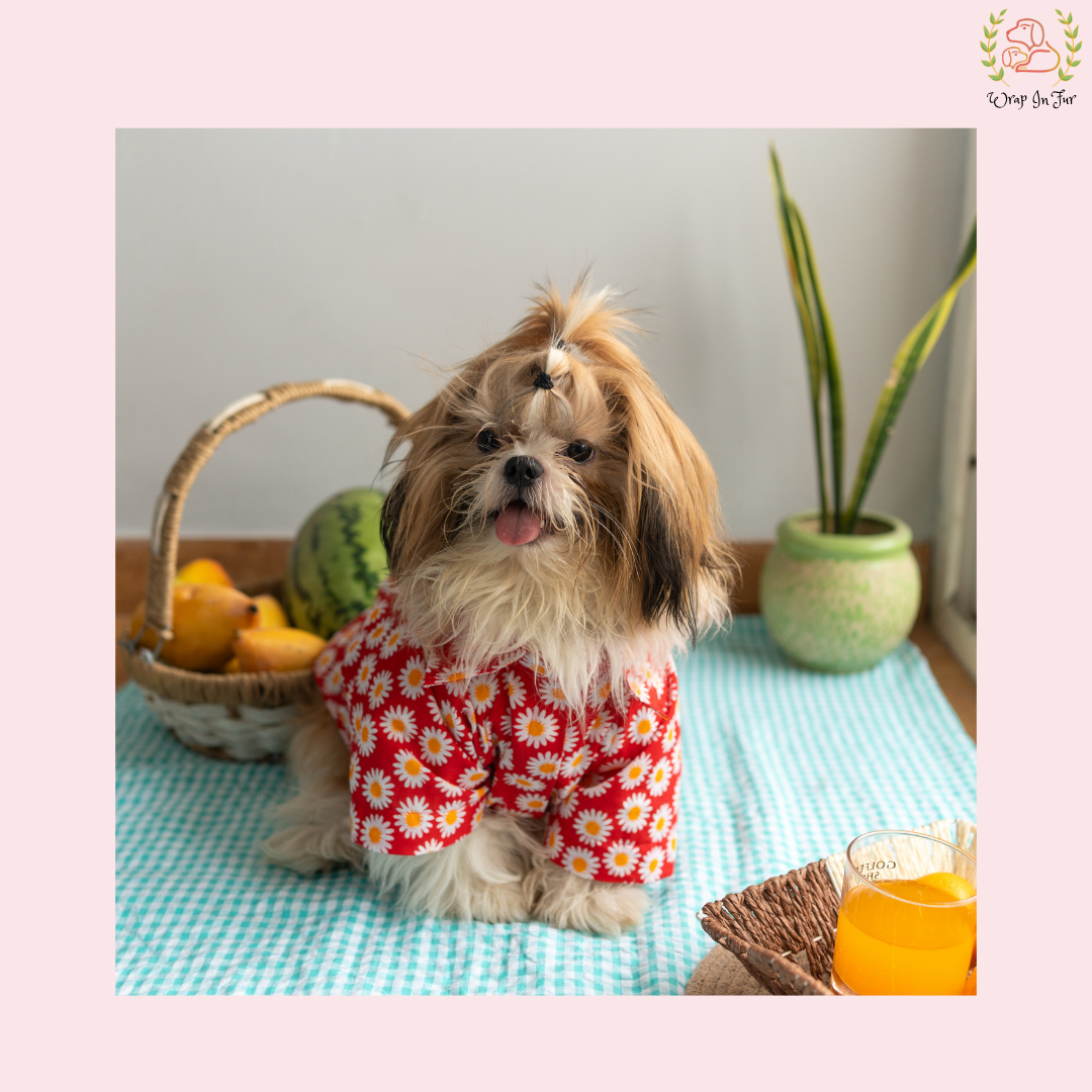 shihtzu Red Daisy Dog Shirt