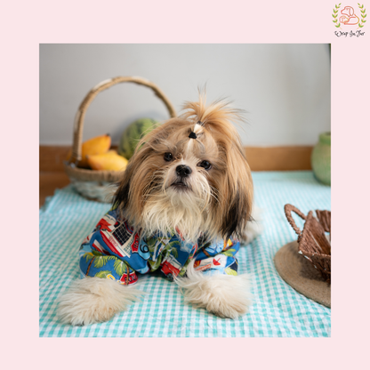 Summer shirt for dogs