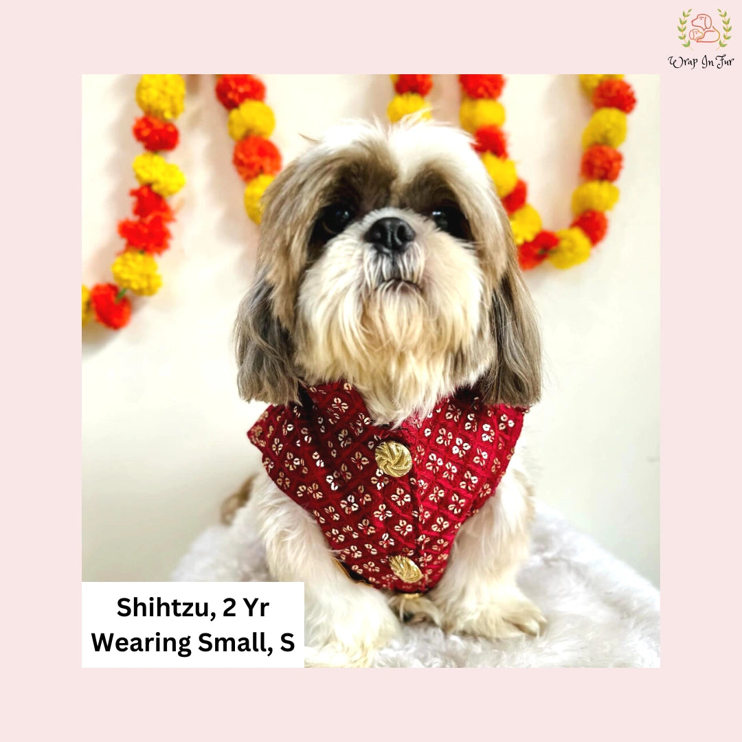 dog wedding sherwani for pug online in India