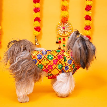 Yellow Jhilmil Dog Sherwani