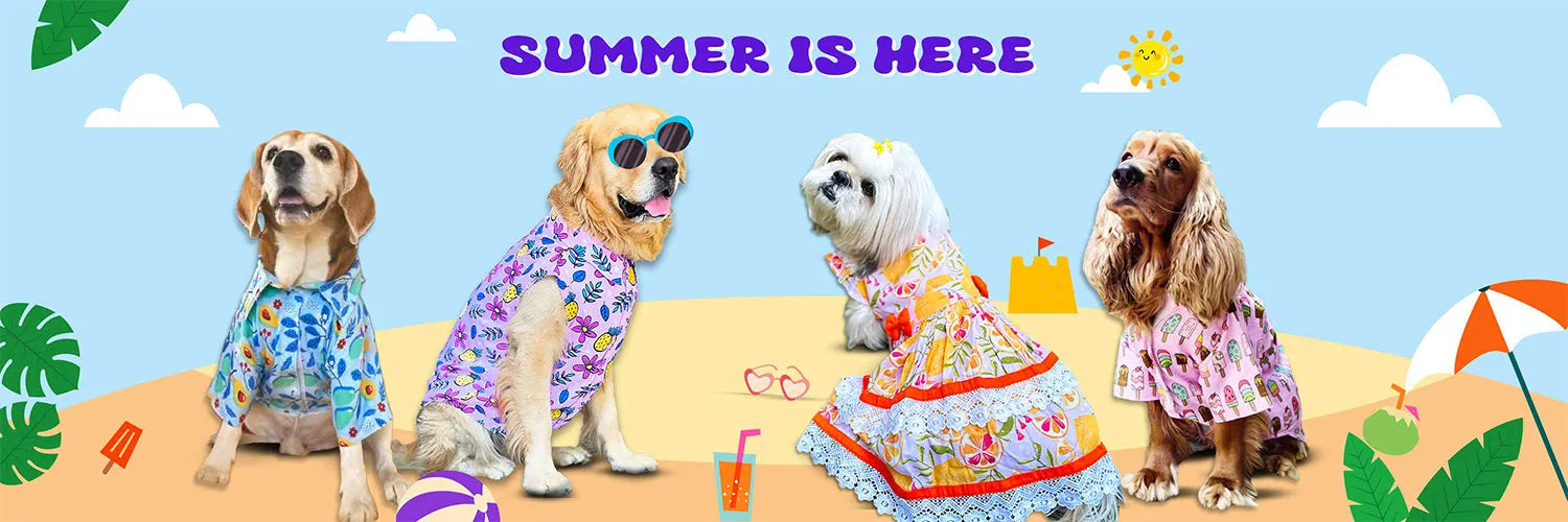 summer dog clothes banner