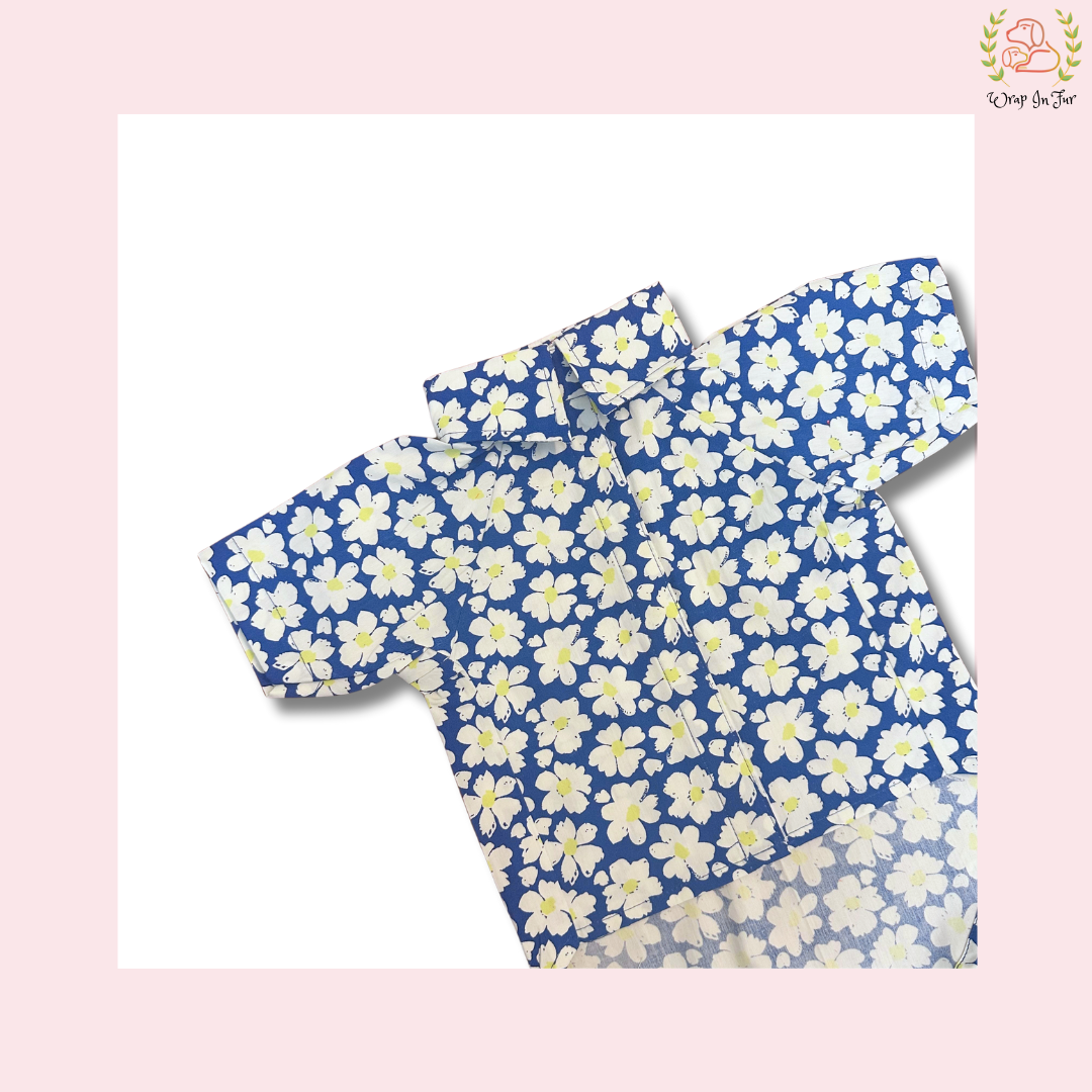 summer dog clothes