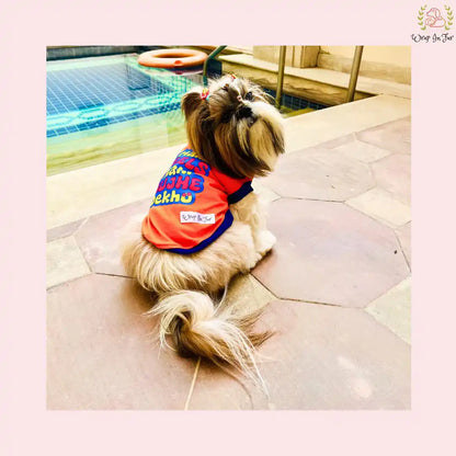  t-shirt for Shih Tzu dog
