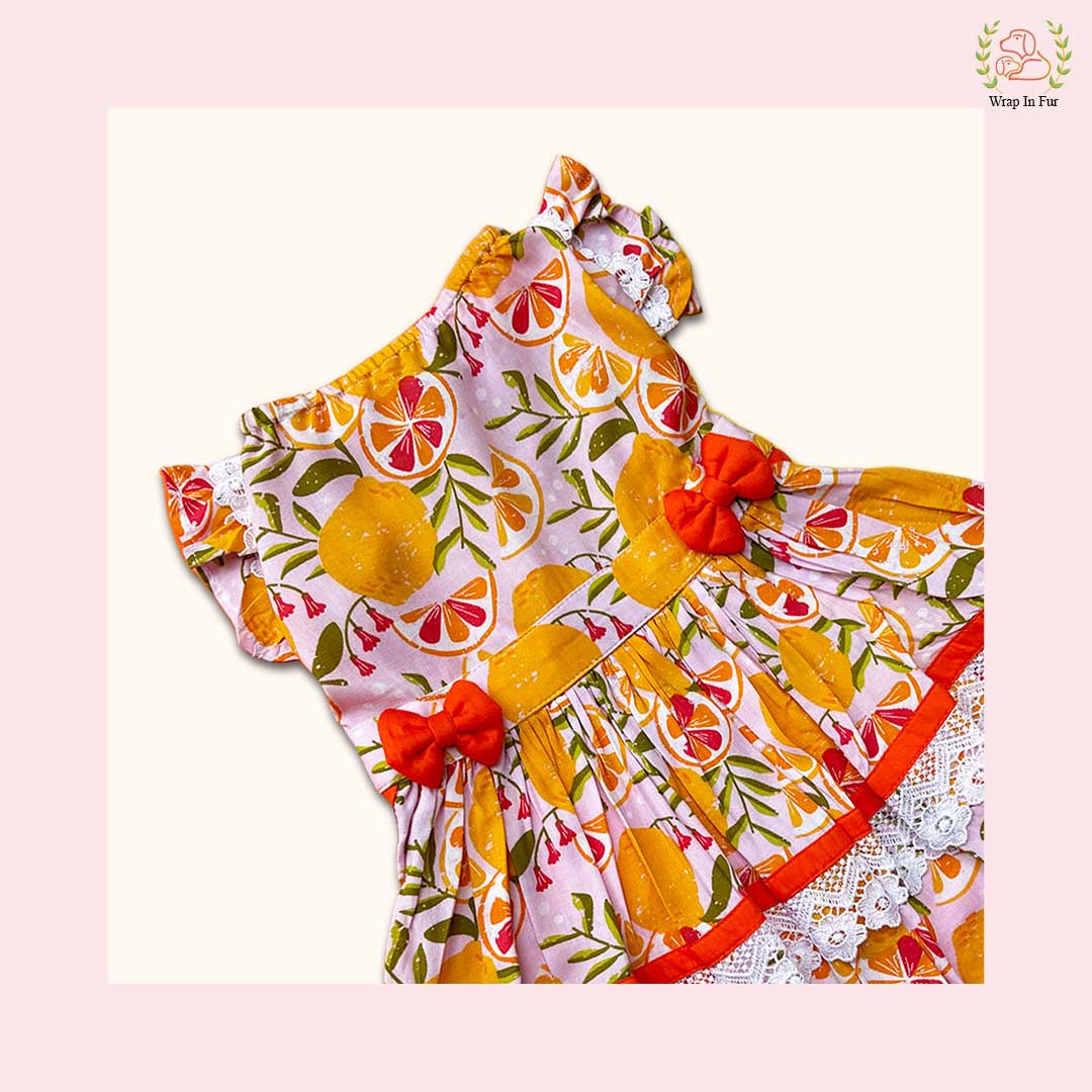 Tropical Orange Dog Frock