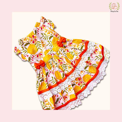 Tropical Orange Dog Frock