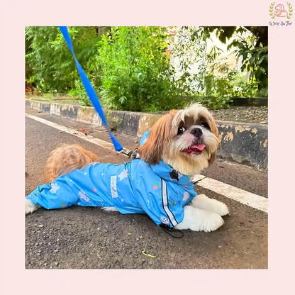 buy teddy dog raincoat online