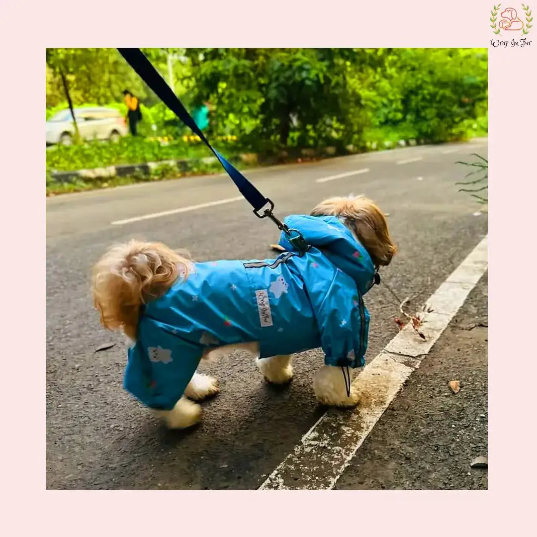 teddy dog raincoat for small dog