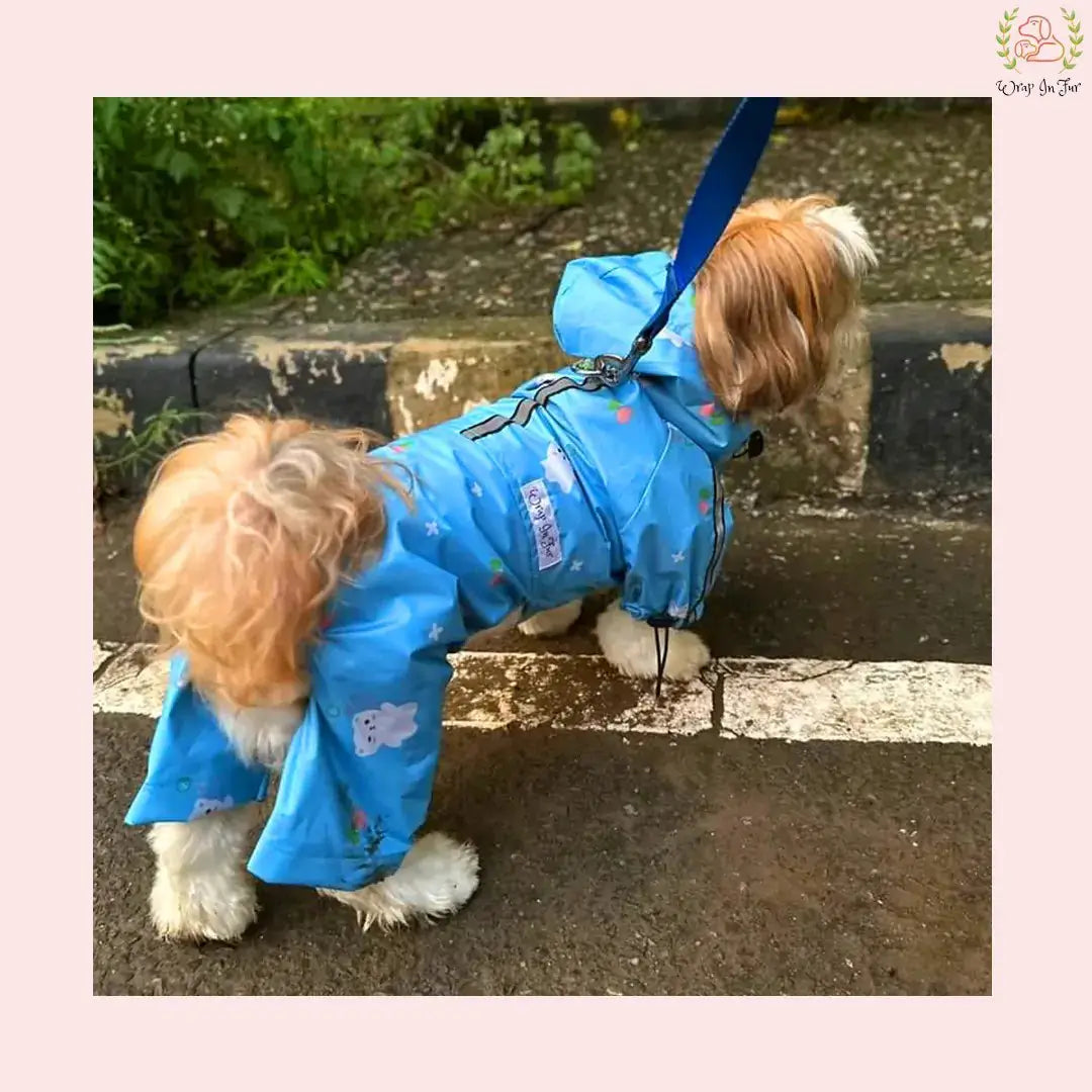 sky blue teddy dog raincoat for labrador