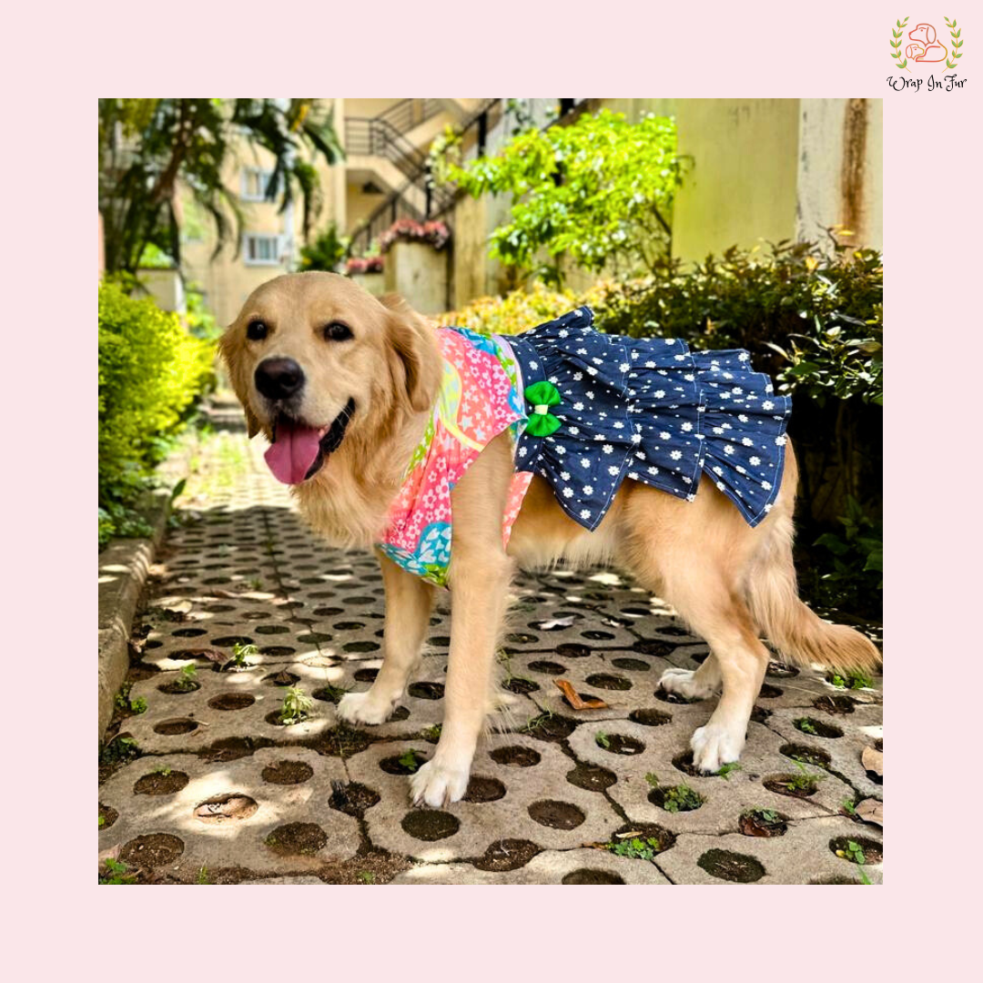 goldenretrieverdogbirthdaydress