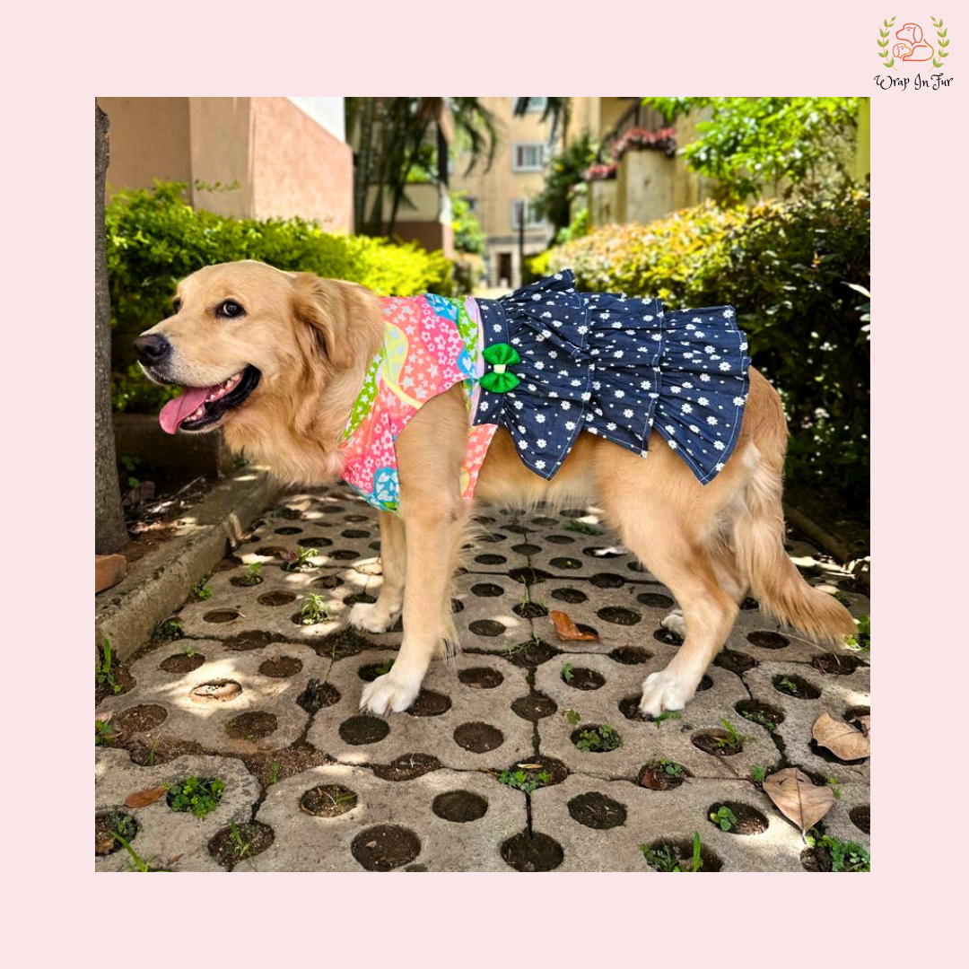 dogdressforgoldenretriever