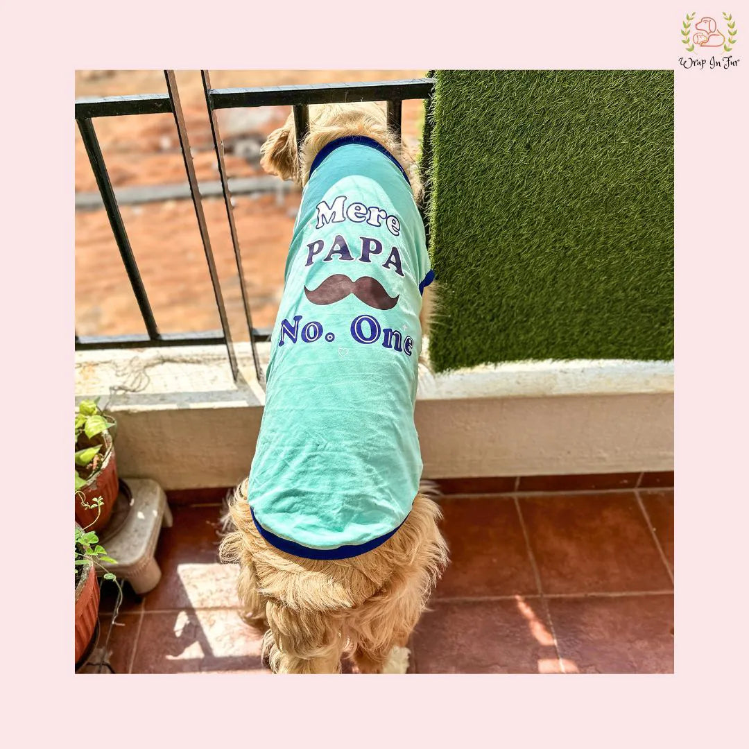 mere papa number one dog tshirt for beagle 