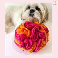 Sniffer Ball