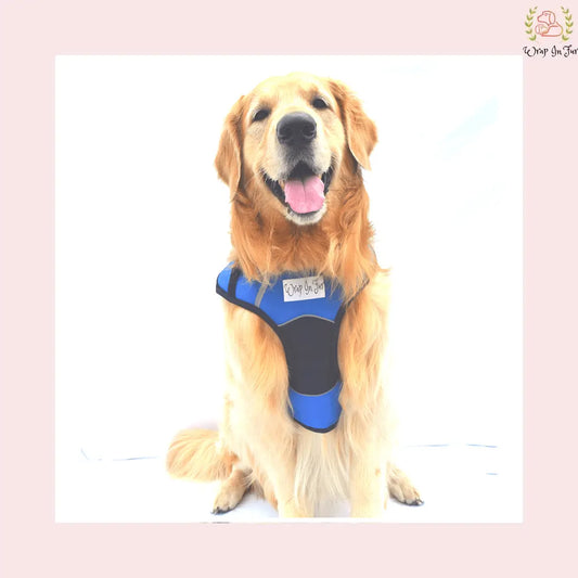 Blue Black Double Sided Dog Harness