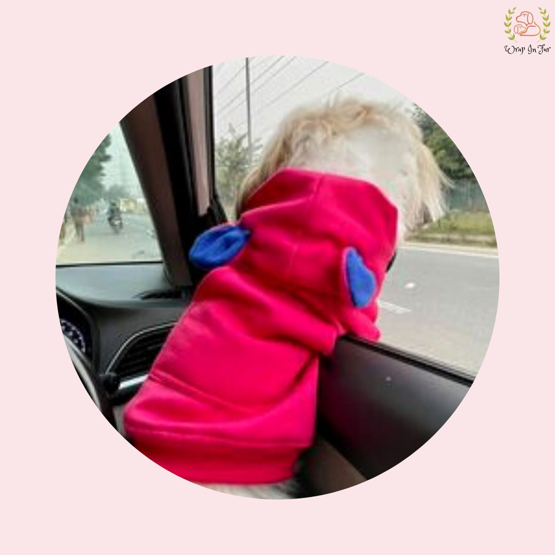 Blue Bunny Ear Dog Hoodie – Warm & Adorable Wear