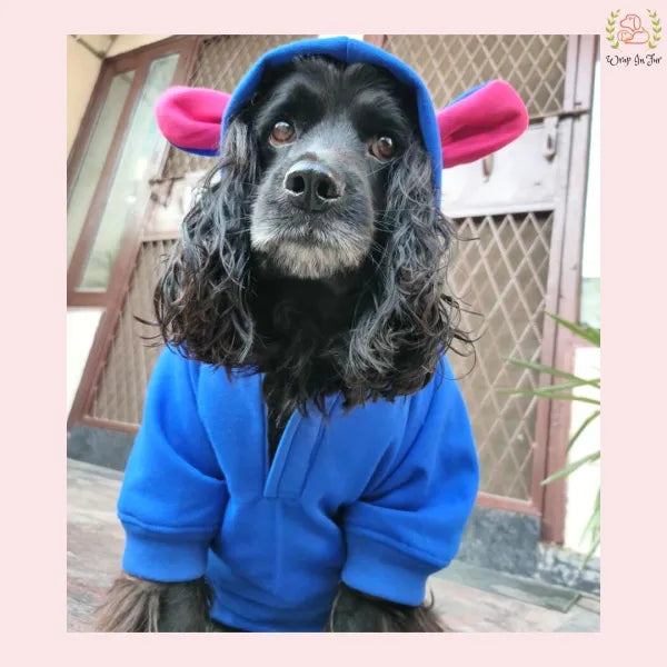Blue Bunny Ear Dog Hoodie – Warm & Adorable Wear
