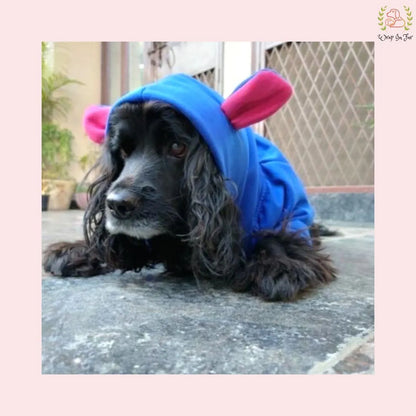 Blue Bunny Ear Dog Hoodie – Warm & Adorable Wear