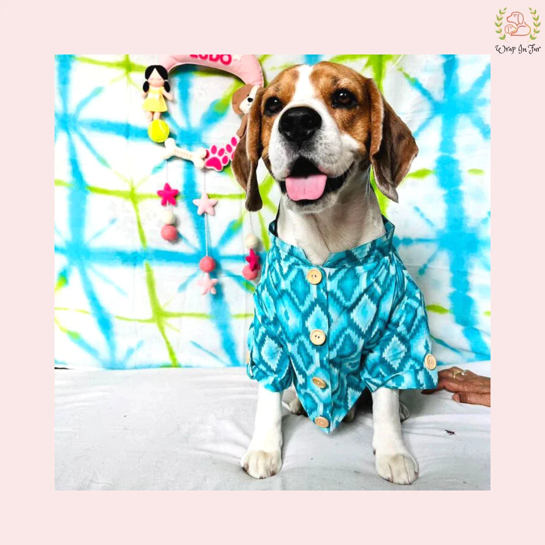 Blue Paradise Dog Kurta - Premium Indian Dog Ethnic Wear