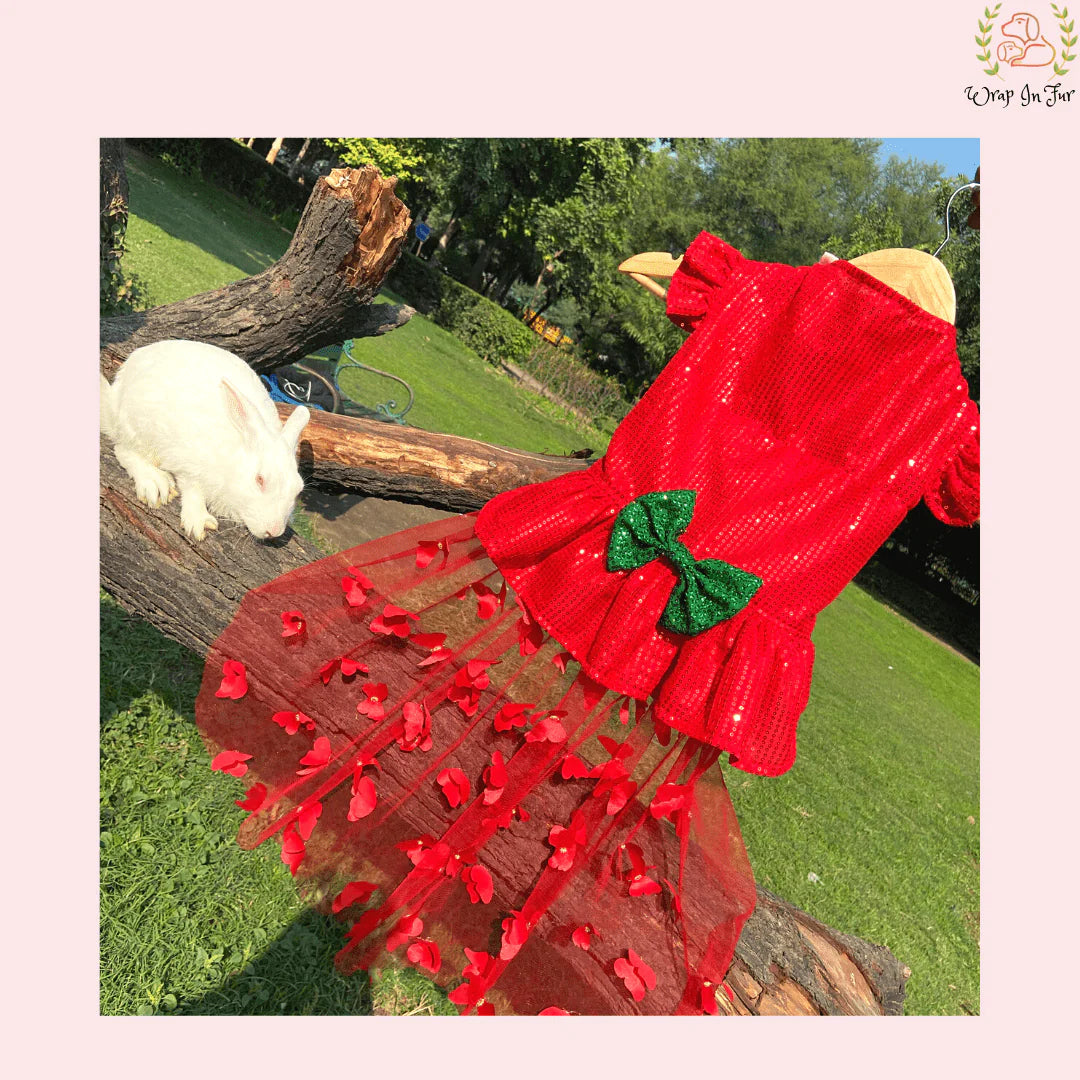 birthday Christmas red gown for dog