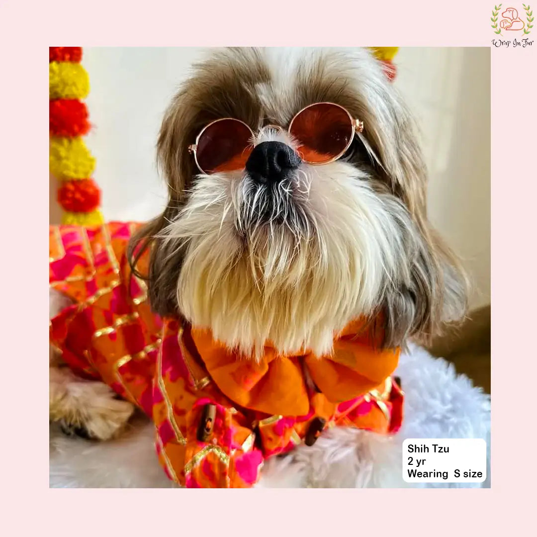 Coral Blush Gota Dog Kurta - Premium Indian Dog Ethnic Wear