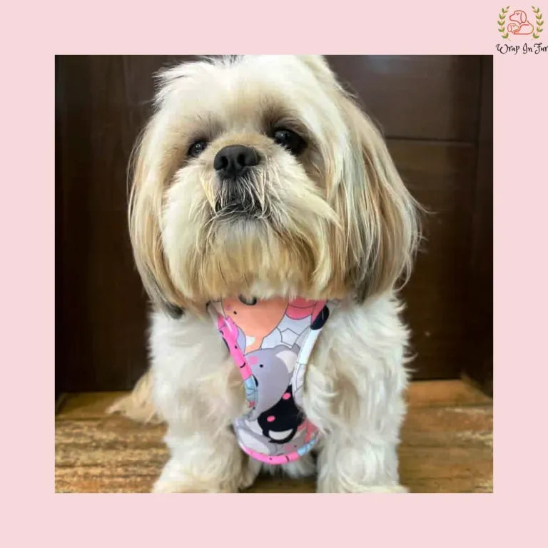 Cute Teddy Reversible Harness