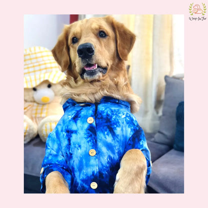 Deep Blue Tie Dye Dog Kurta - Modern Indian Pet Ethnic Wear