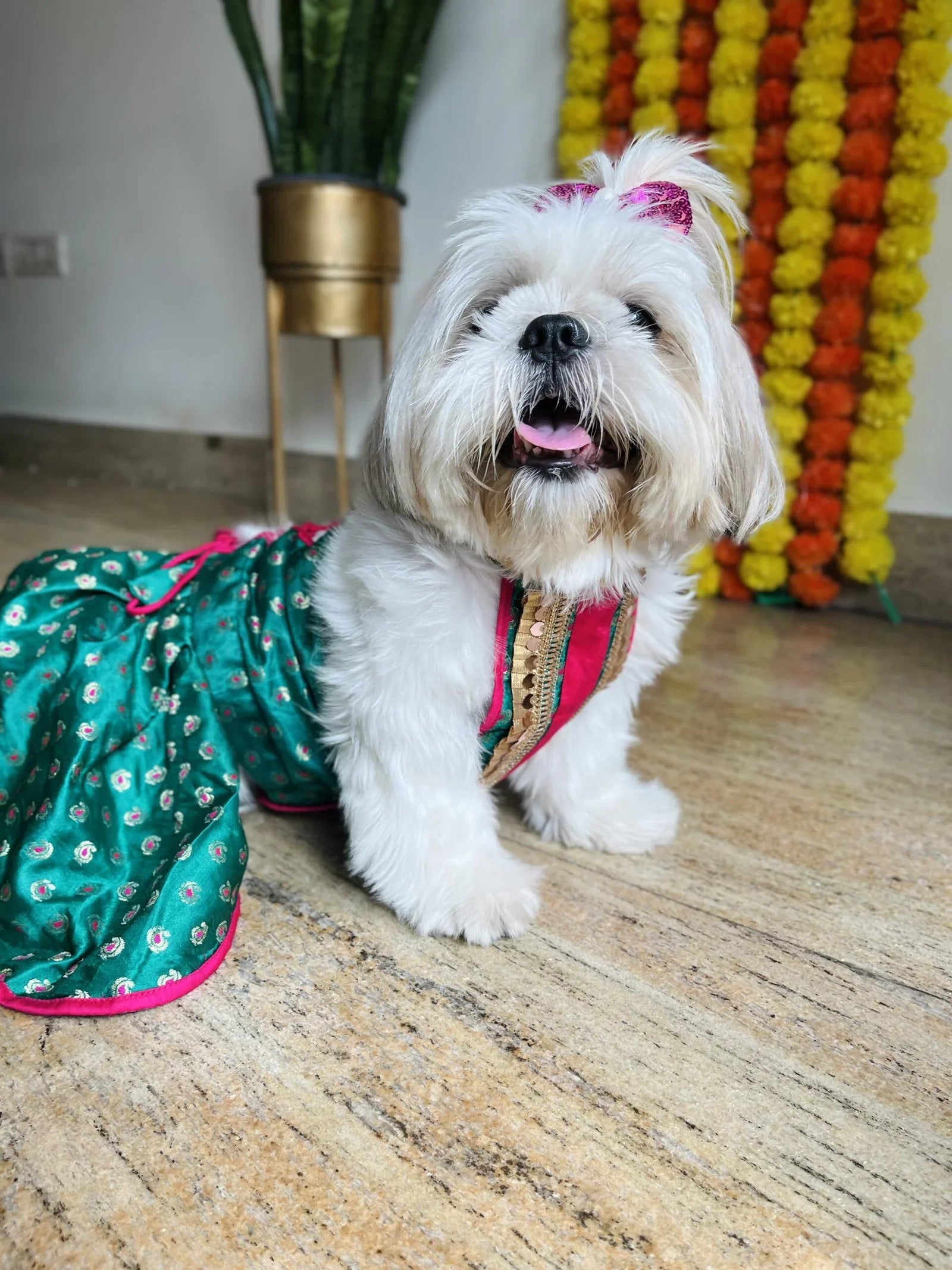 Emerald Green Dog Lehenga Choli | Premium Pet Wedding Dress S Emerald Green Dog Lehenga Choli | Premium Pet Wedding Dress S