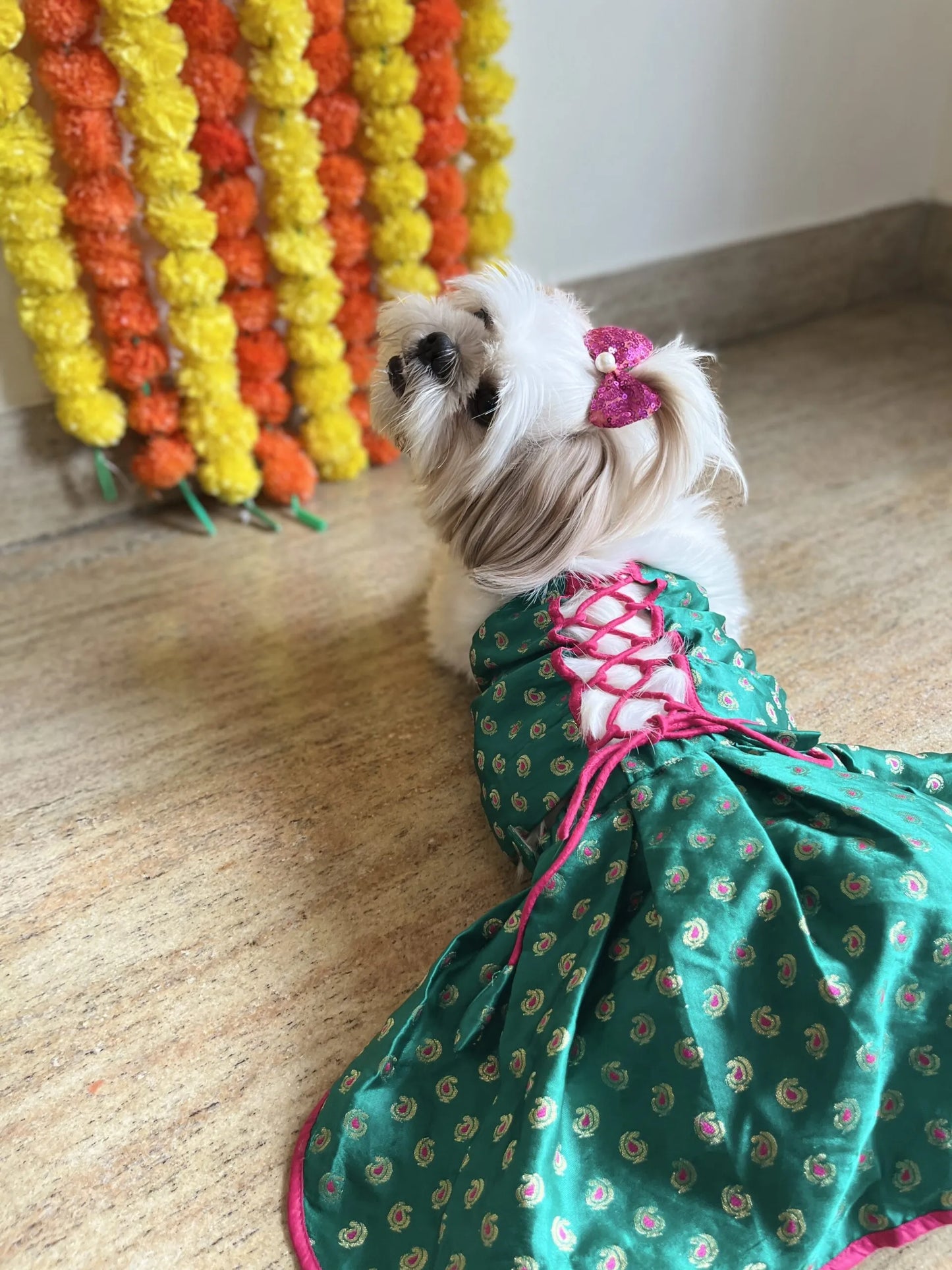 Emerald Green Dog Lehenga Choli – Premium Pet Wedding Dress