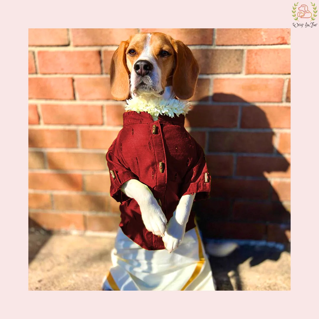 Emerald Raw Silk Dog Kurta - Premium Indian Dog Ethnic Wear