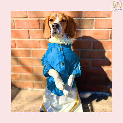 Emerald Raw Silk Dog Kurta - Premium Indian Dog Ethnic Wear