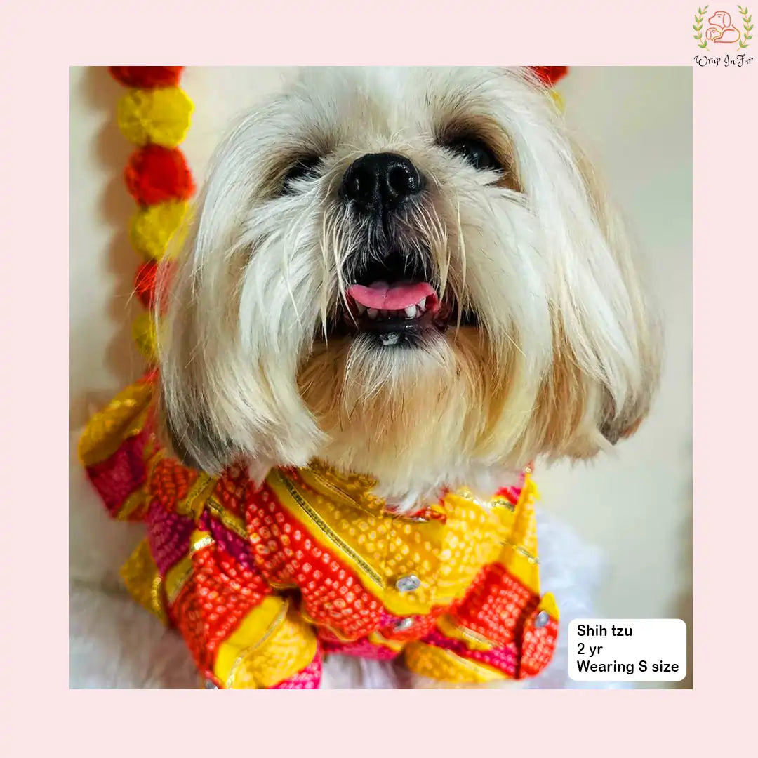 Kesari Gota Dog Kurta - Premium Yellow Indian Dog Ethnic Wear