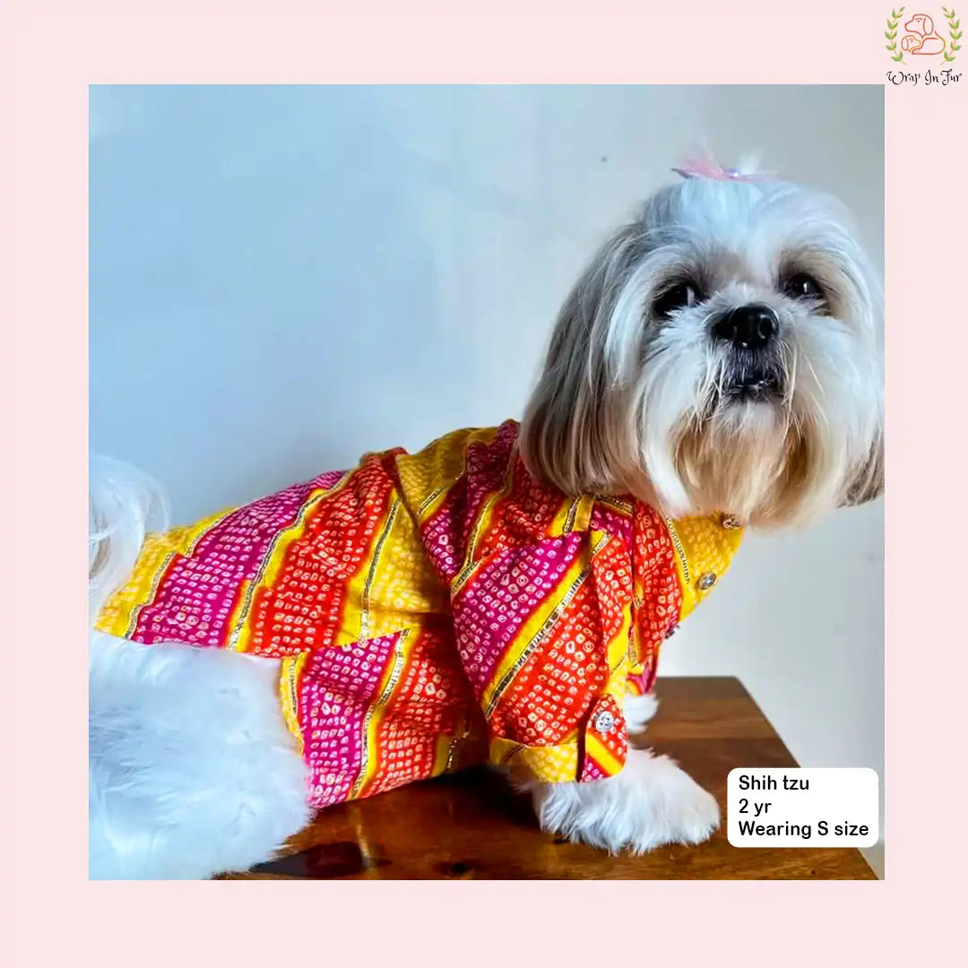 Kesari Gota Dog Kurta - Premium Yellow Indian Dog Ethnic Wear