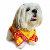 Kesari Gota Dog Kurta - Premium Yellow Indian Dog Ethnic Wear