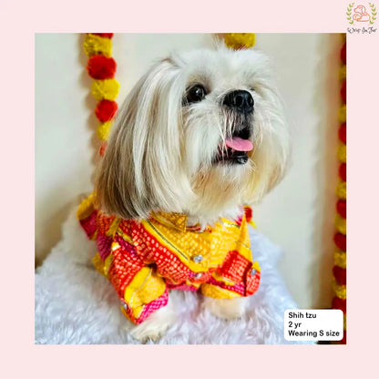 Kesari Gota Dog Kurta - Premium Yellow Indian Dog Ethnic Wear