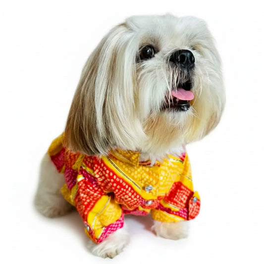 Kesari Gota Dog Kurta - Premium Yellow Indian Dog Ethnic Wear