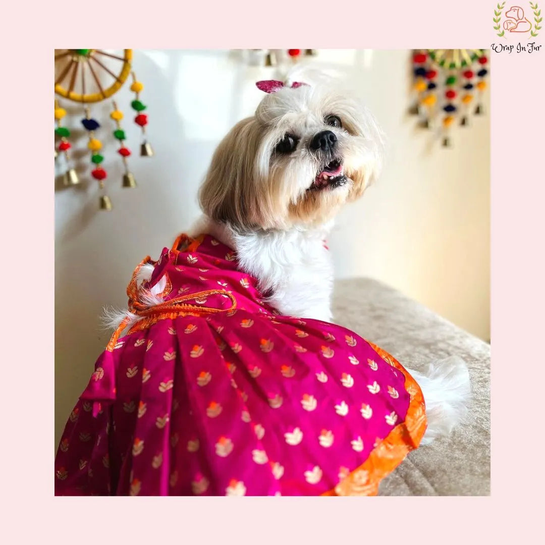 Kesari Lehenga Choli Dog Wedding Dress – Premium Dog Bridal Outfit