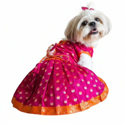 Dog Lehenga
