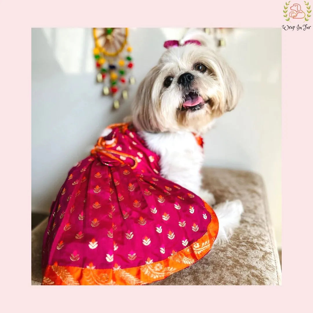 Kesari Lehenga Choli Dog Wedding Dress – Premium Dog Bridal Outfit