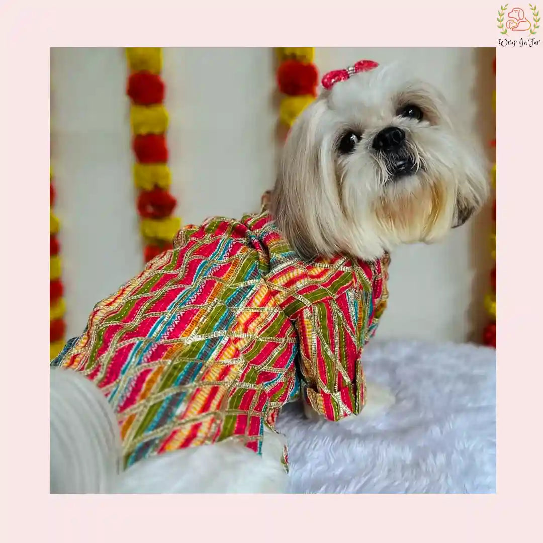 Multicolor Gota Dog Kurta - Premium Indian Dog Ethnic Wear