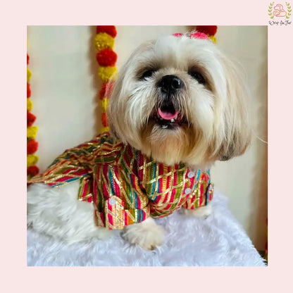 Multicolor Gota Dog Kurta - Premium Indian Dog Ethnic Wear